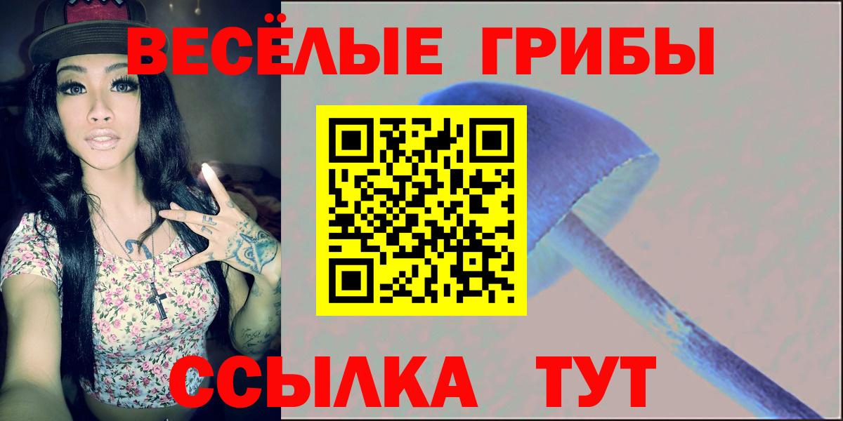 Псилоцибиновые грибы Psilocybe  Вход с VPN  Псилоцибиновые грибы прущие грибы  Рославль 